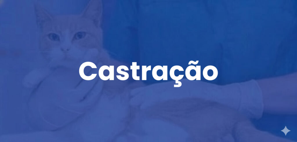 Serviço de Castração